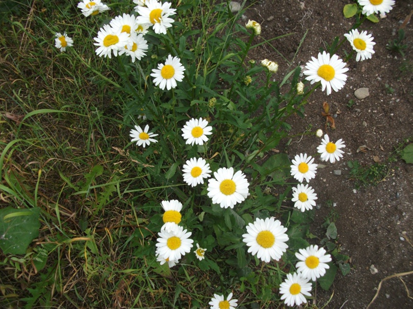 Анастасия Худякова | Мурманск