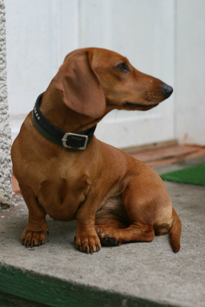 Мария Микитюк Николаевна | Городенка