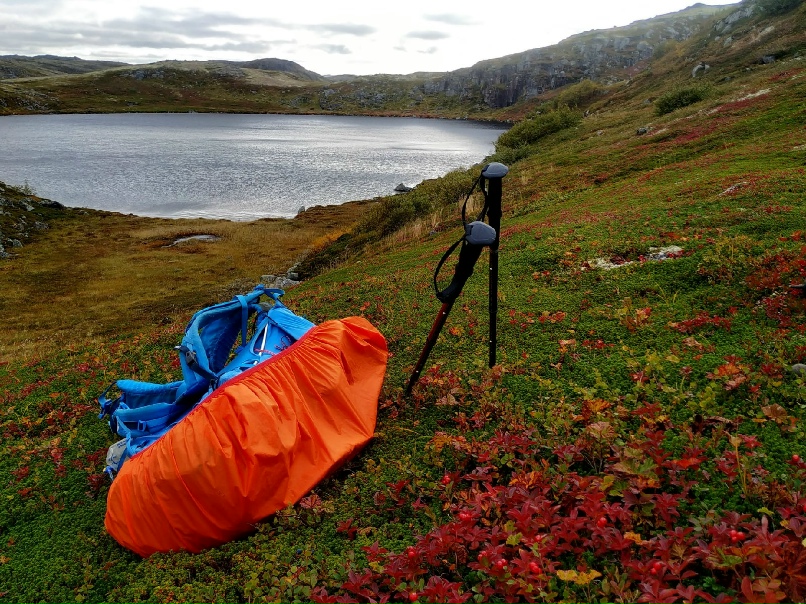 Елена Шишкина | Ярославль