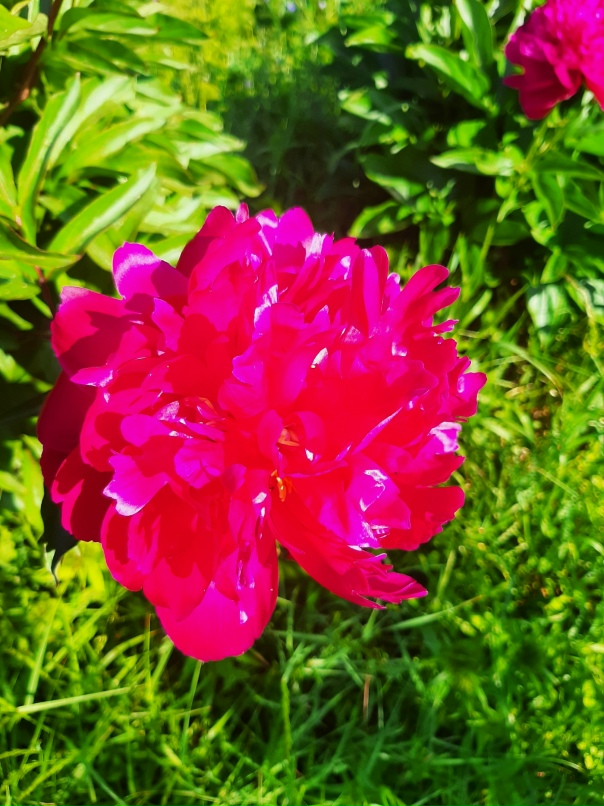 Наталия Рыжкова | Санкт-Петербург