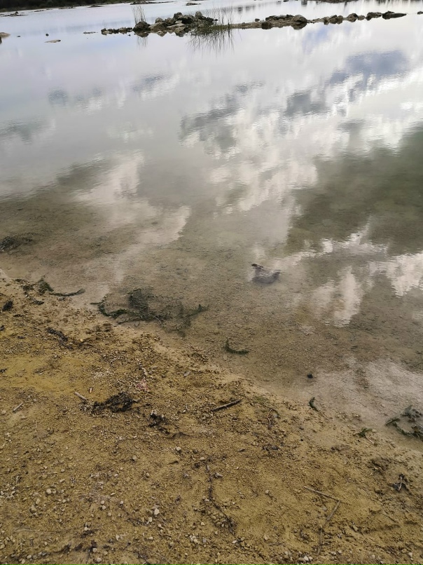 Светлана Жаренова | Санкт-Петербург