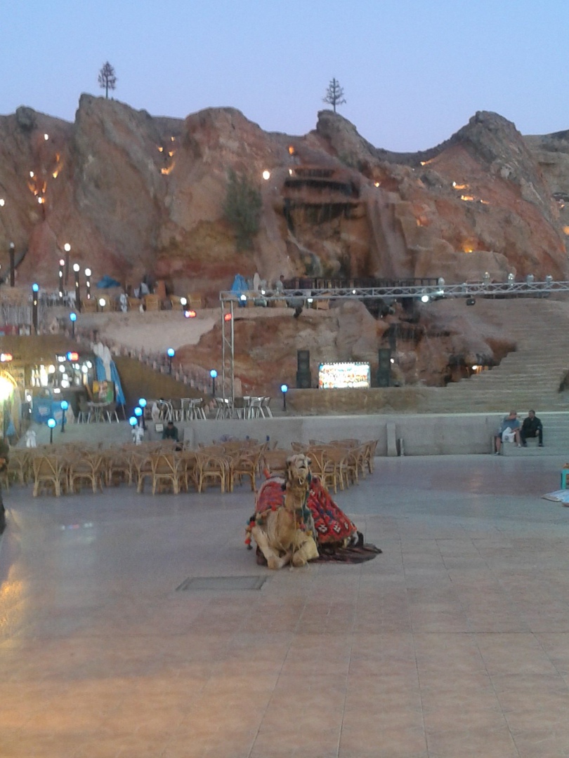 Ксения Коган | Москва