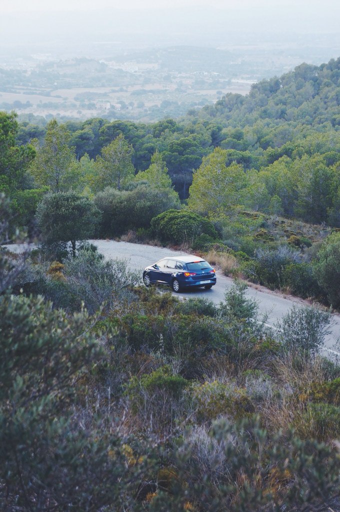 Михаил Сурков | Тула