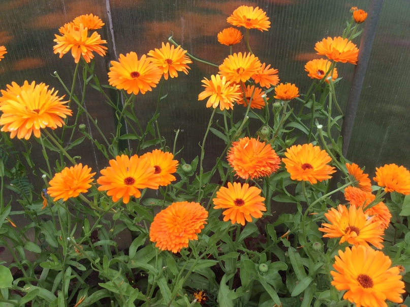 Светлана Андреева | Иркутск