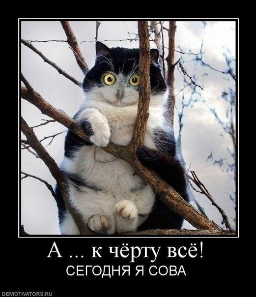 Михаил Королев | Прокопьевск