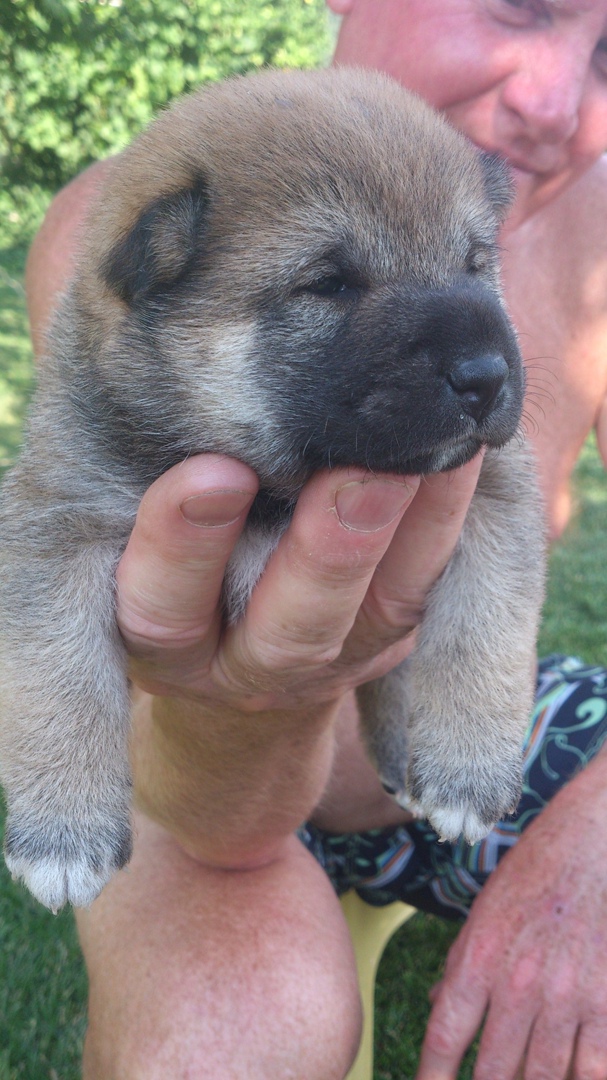 Elena Frolova Laima | Санкт-Петербург