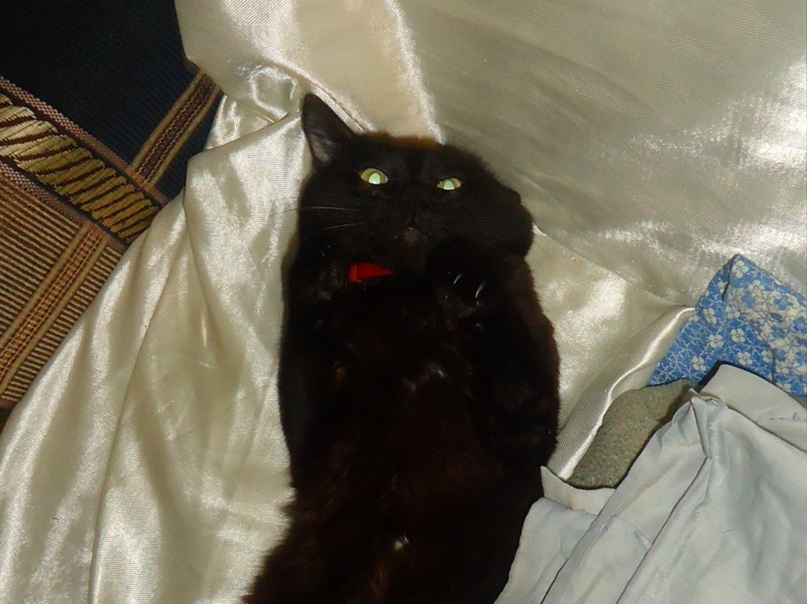 Ирина Мягкая | Харьков