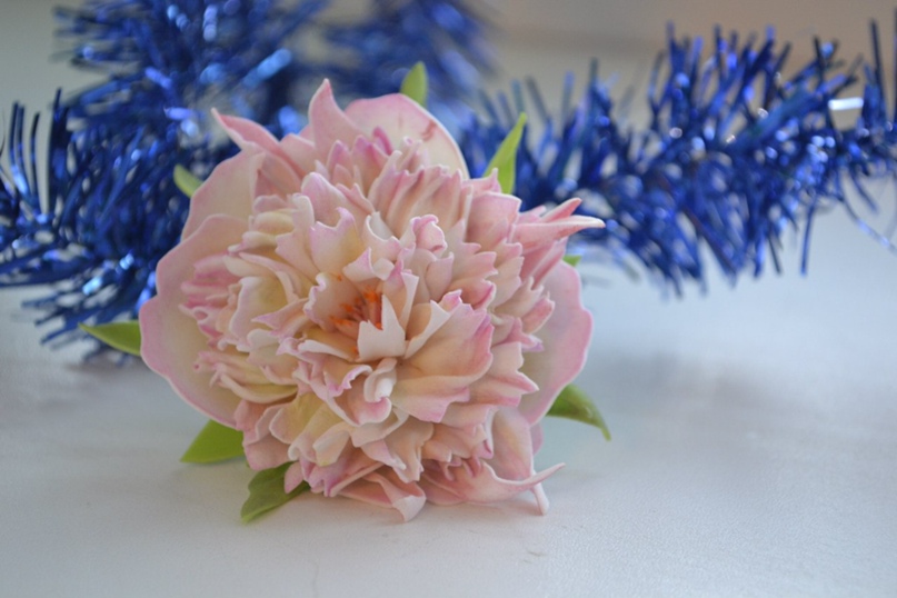 Кристина Кирсанова |