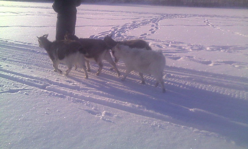 Танюшка Алексеенко | Санкт-Петербург