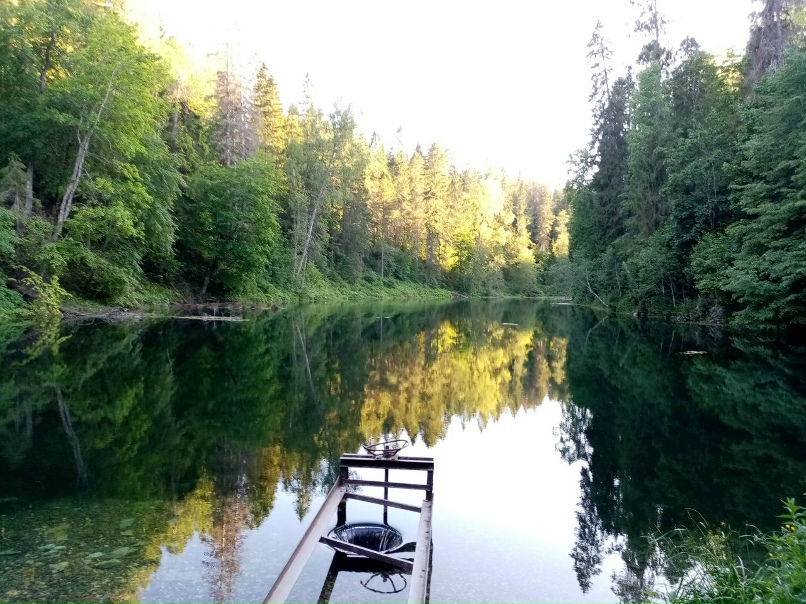 Денис Мезенцев | Санкт-Петербург