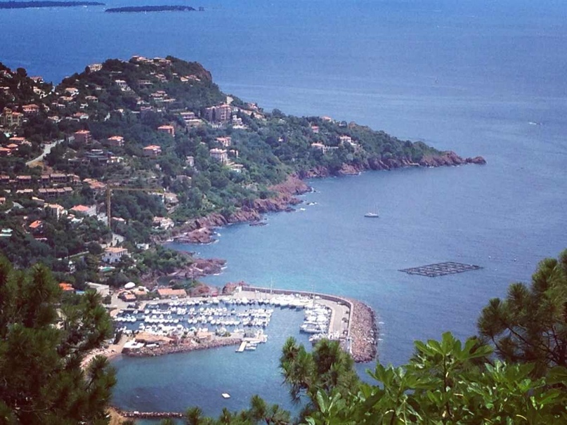 Анастасия Астафьева | Минск