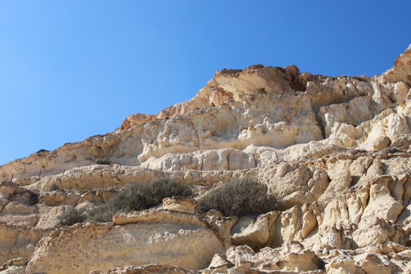 Марина Бубнова | Москва