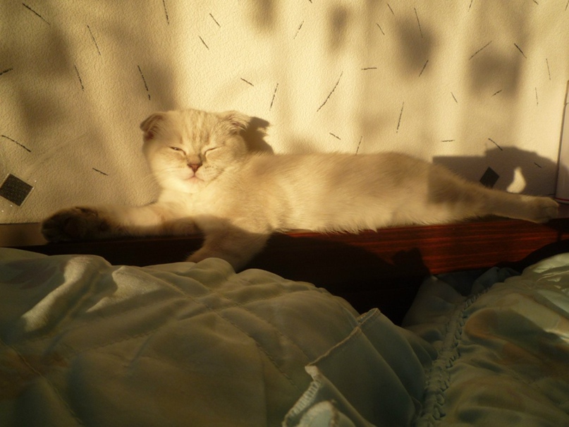 Екатерина Овчаренко | Костомукша