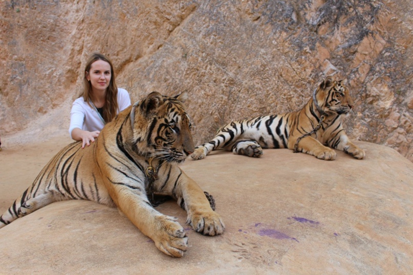 Саша Вульфсон | Leverkusen