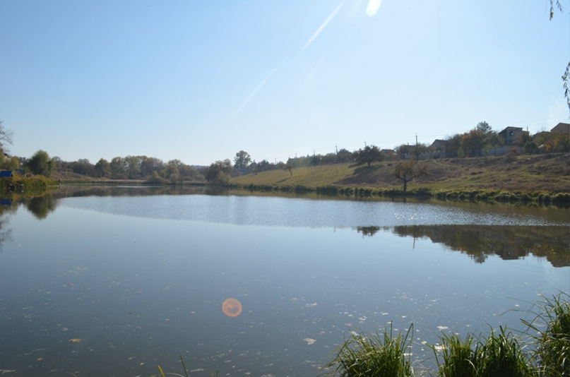 Дмитрий Воробьев | Харьков