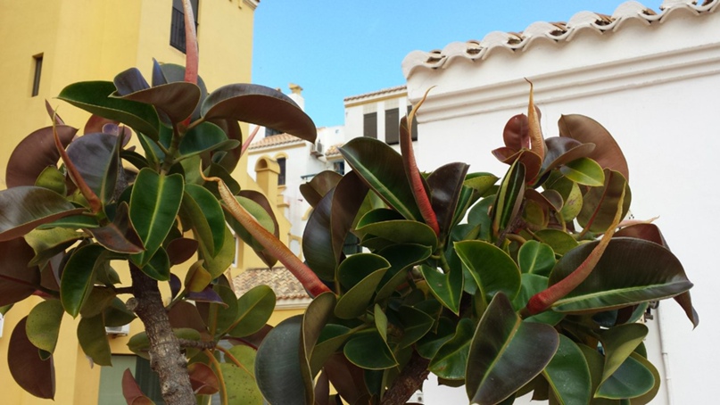 Ирина Шаталова | Санкт-Петербург