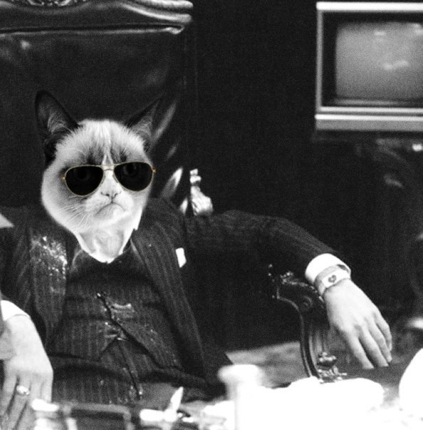 Владимир Ларин | Геленджик