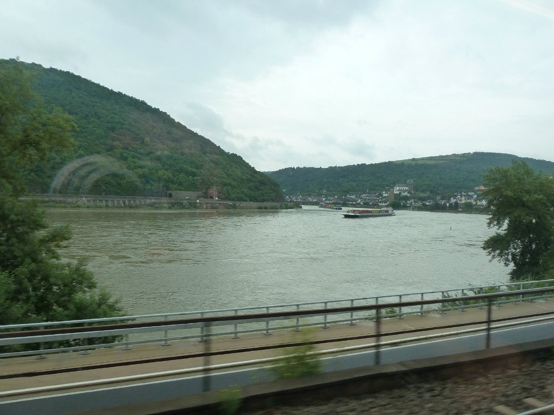 Даниил Егоров Canis Durus | Макеевка