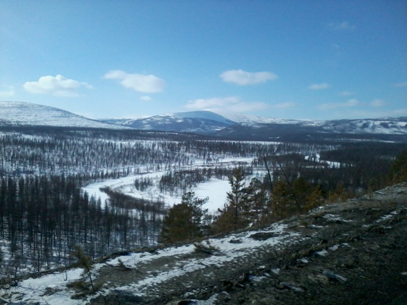 Михаил Каширцев | Омск