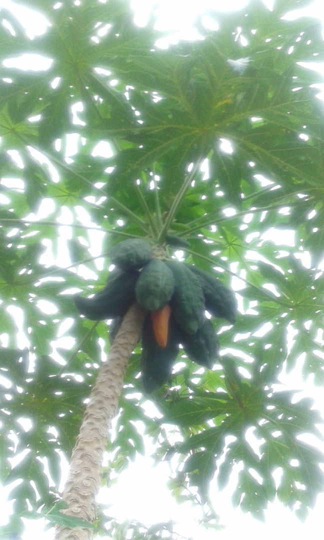 Наталья Кувшинова | Новороссийск