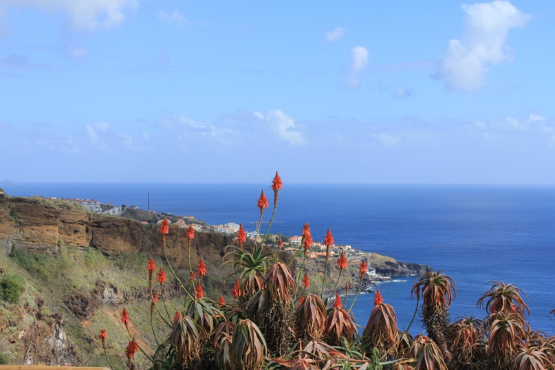 Елена Петрова | Череповец