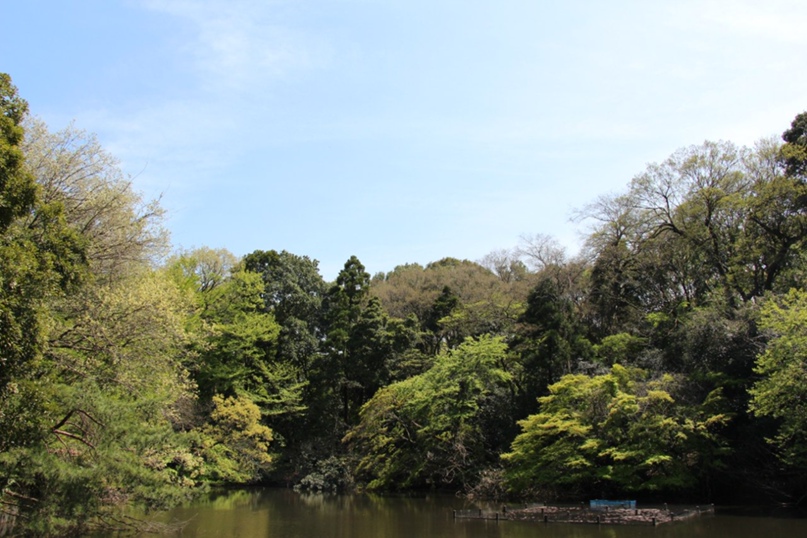 Сергей Суханов | Хабаровск