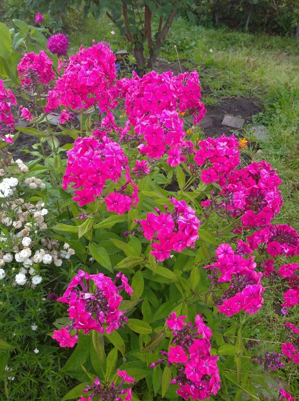 Александра Зверева | Архангельск