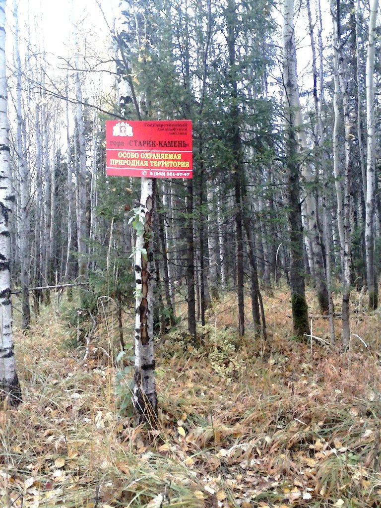 Константин Белоногов | Екатеринбург