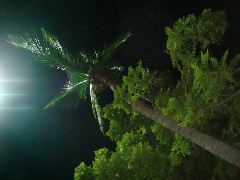 Алёна Абдуллаева | Москва