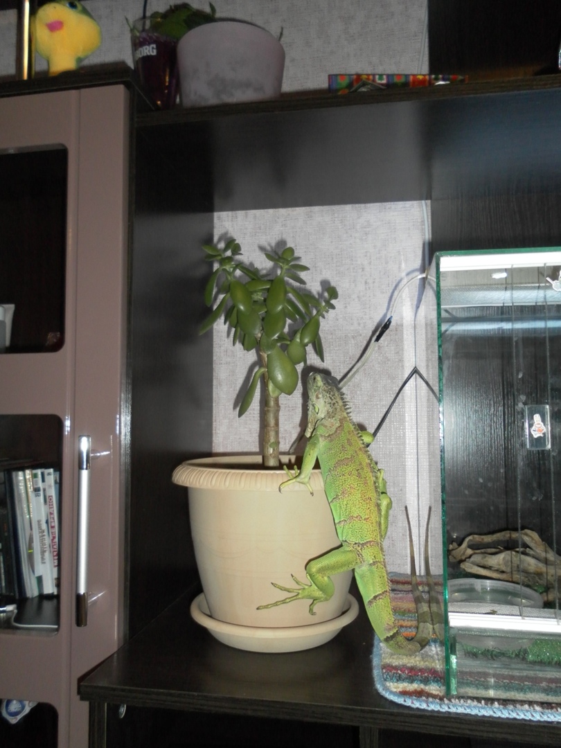 Сергей Финогенов | Краснодар