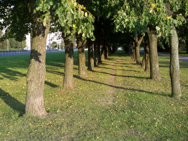 Андрей Толстых | Токмок