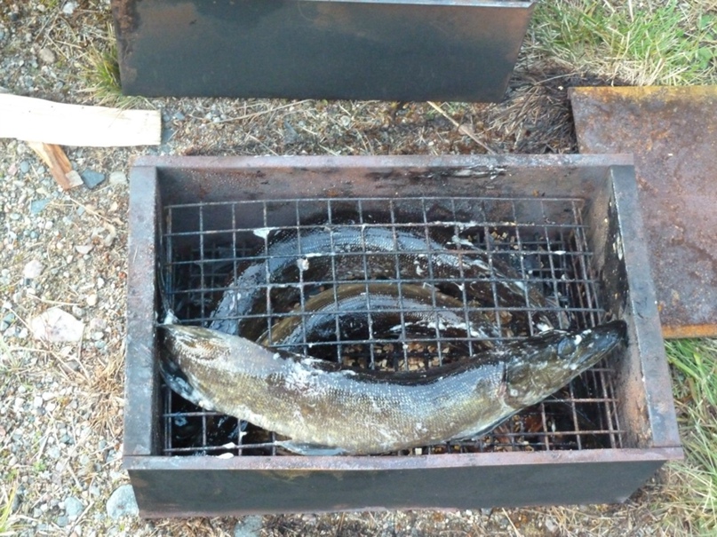 Александр Плетнёв | Санкт-Петербург