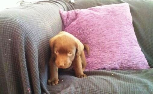 Екатерина Трапезникова | Palma