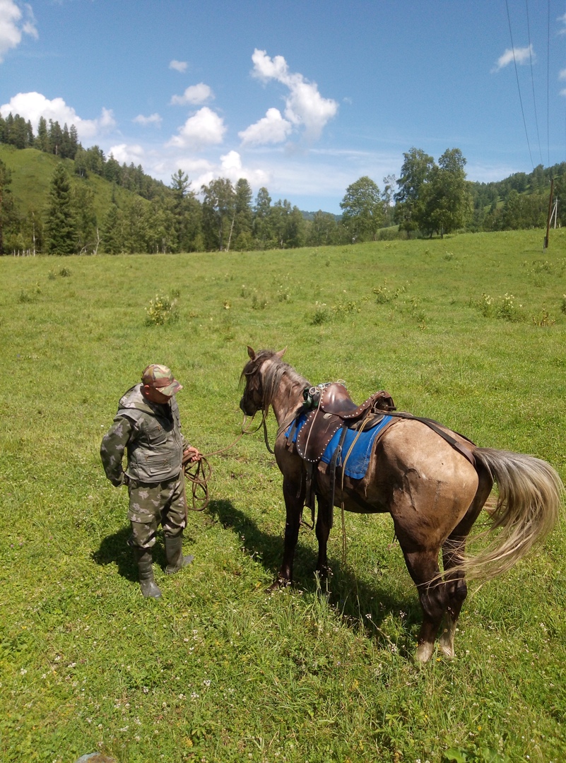 Наталья Порошина | Северск