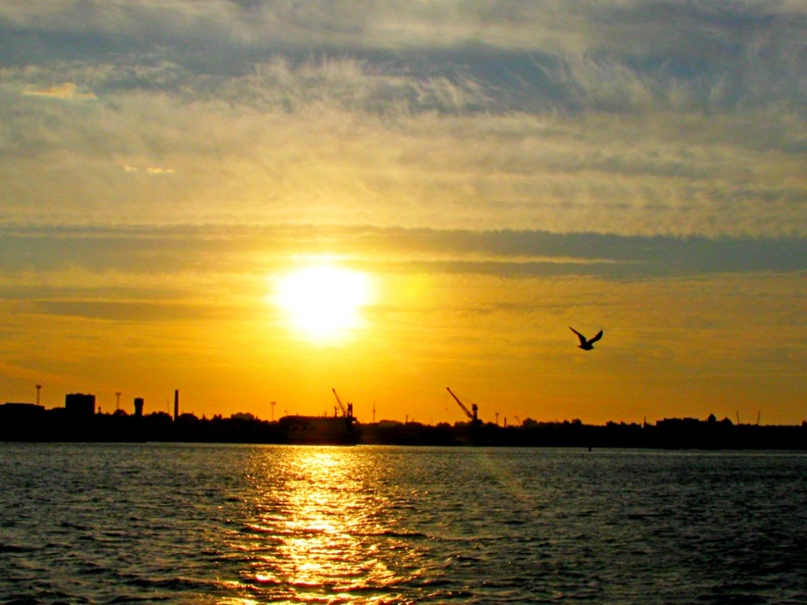 Надежда Майстренко | Евпатория