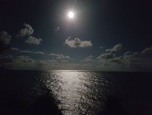 Аскер Дахужев | Краснодар