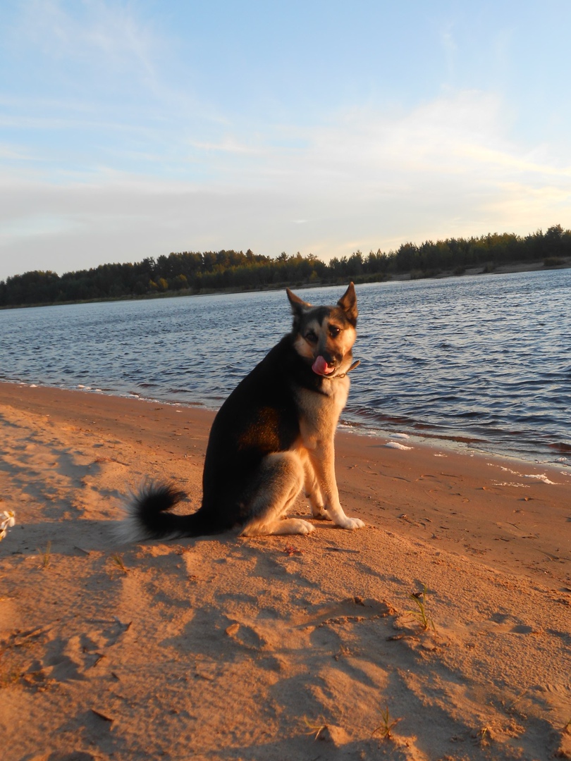 Люба Кокко | Санкт-Петербург