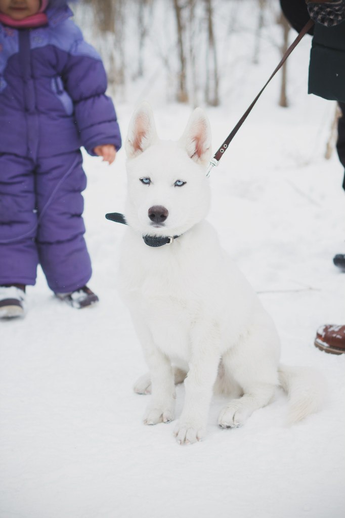 Елена Косолапова | Алматы