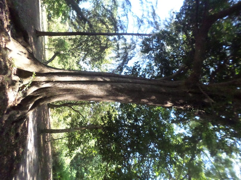 Михаил Красноруцкий | Phuket