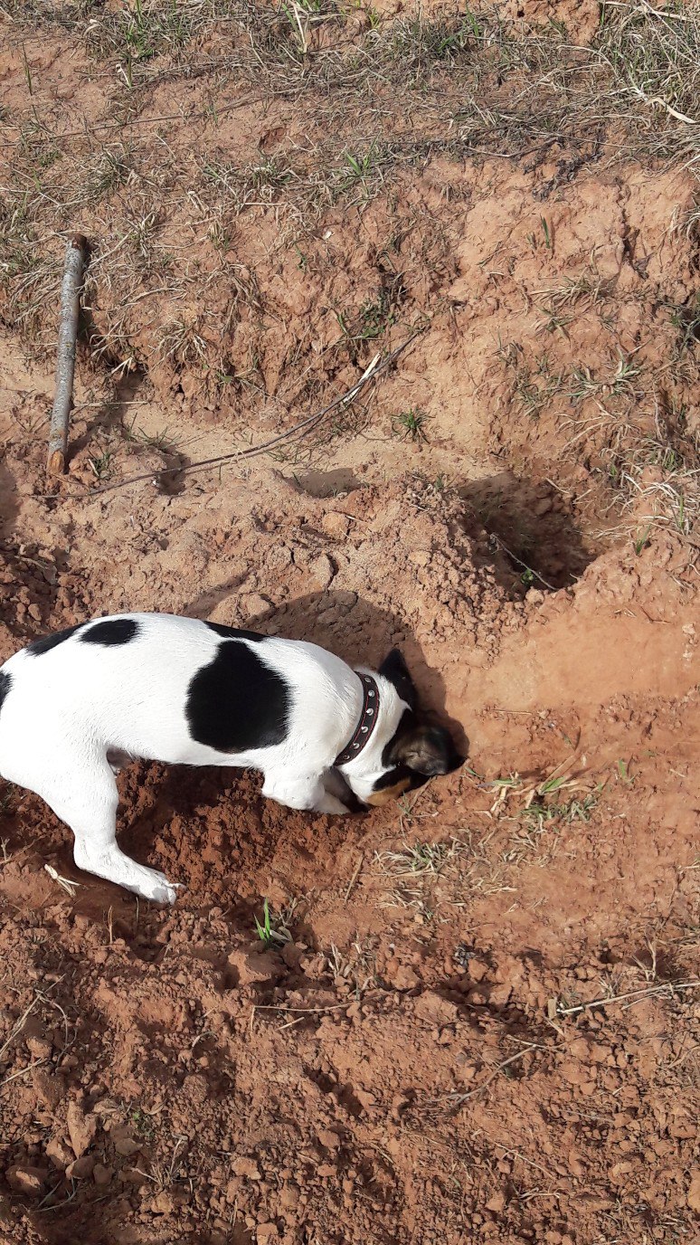 Оля Бабушкина | Пикалево
