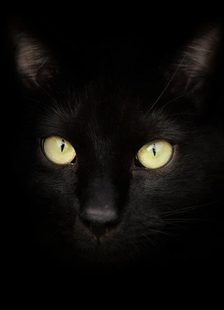Александра Омельченко ღღღ,,,^●●^,,,ღღღ |