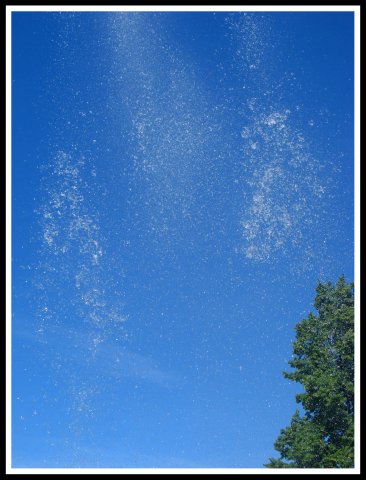 Максим Лютов N. | Москва