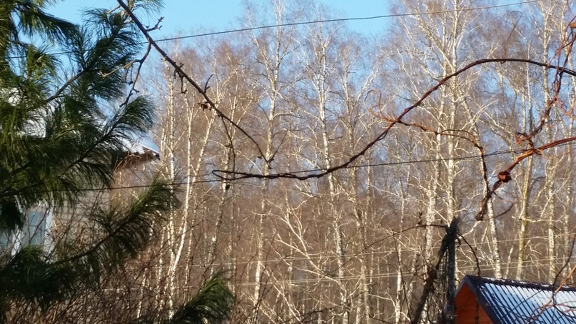 Алексей Ежов | Ярославль