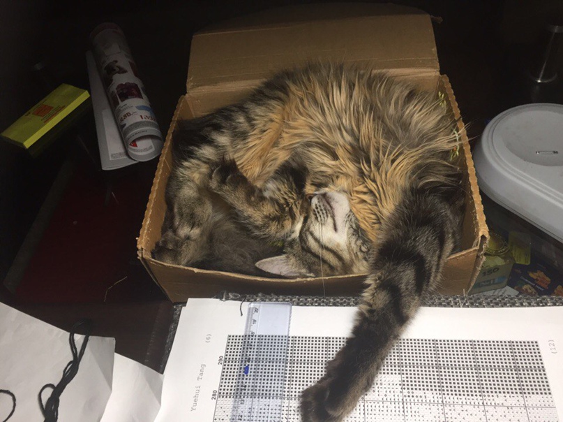 Александра Владимировна | Севастополь