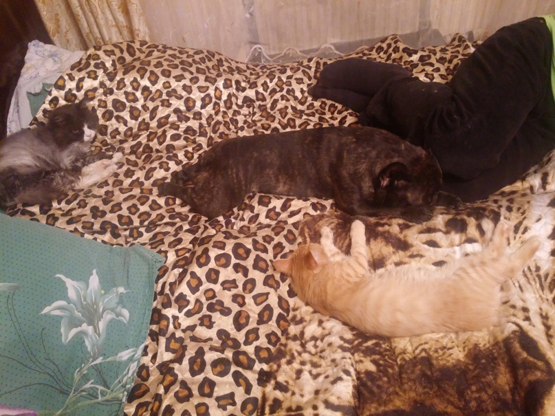 Мария Дмитриева | Москва