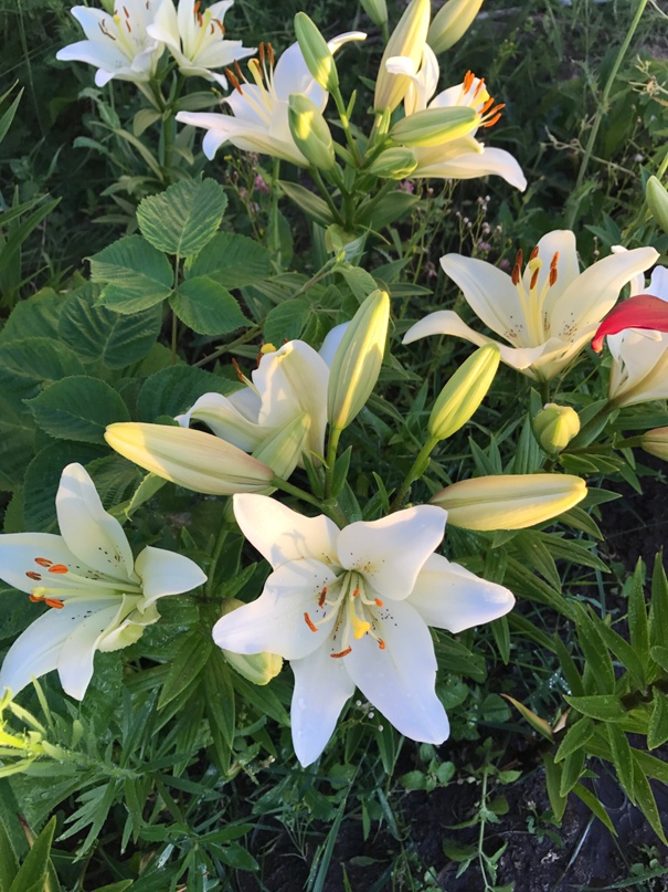 Александра Шкуратова | Москва