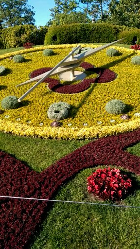 Яна Гредягина | Воткинск