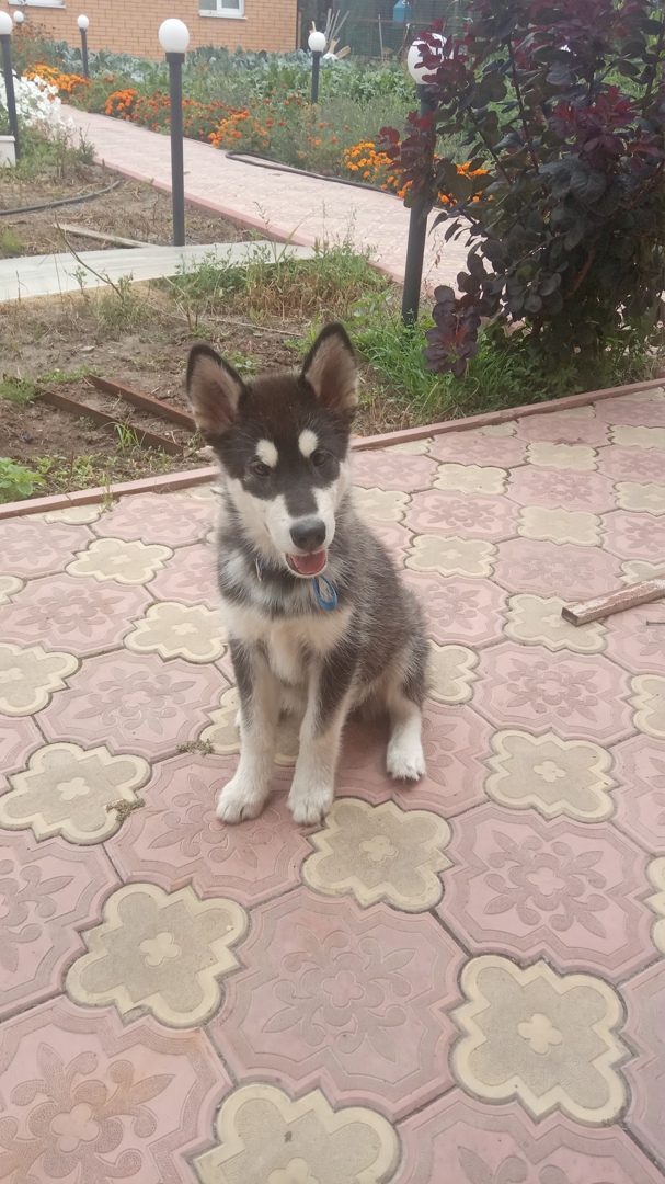 Анна Зиновьева | Курск