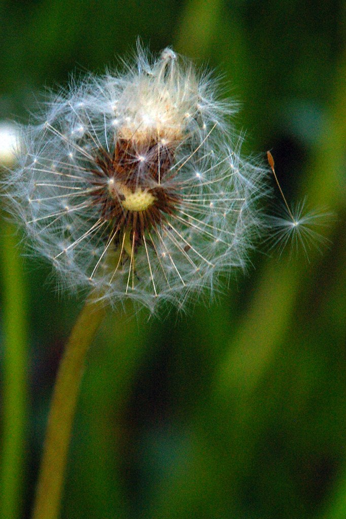 Наталья Качанова | Санкт-Петербург