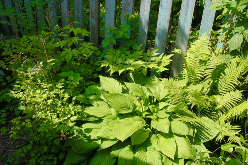 Екатерина Романова | Москва